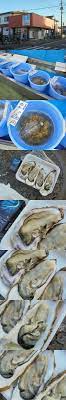 福島県の矢吹町の すずか で生食用の生牡蠣が買って食えます : 小林ペイントのブログへようこそ(福島県 中島村)