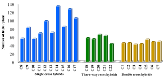 Bar Graph For Number Of Fruits Per Plant Of 22 Tomato