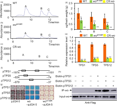Get to know vi at palo alto, where extraordinary service comes standard and living here means living life to the fullest. Mediation Of Ja Signalling In Glandular Trichomes By The Woolly Slmyc1 Regulatory Module Improves Pest Resistance In Tomato Hua 2021 Plant Biotechnology Journal Wiley Online Library
