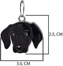 emily pets Dog Shape Collar Tag Cum Pendant for Identity Your Dog | Puppy |  Cat Black Silver Small Pack of 1 : Amazon.in: Pet Supplies
