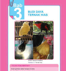 Buku siswa prakarya kelas 9 semester 1 revisi 2018 Materi Prakarya Kelas 9 Bab 3 Portal Edukasi