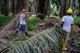 We did not find results for: Malaysia Cuts Foreign Workers Sparking Labor Shortage Fears Bloomberg