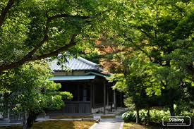 Menghadap ke selatan (nilai : 5 Arah Fengshui Rumah 2020 Jadikan Peruntungan Tahun Ini Milikmu