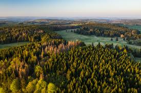 Optionen zum ändern deiner daten. Westerwald Steig Stage 3 Fuchskaute Rennerod East West