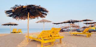 Use it or lose it they say, and that is certainly true when it comes to cognitive ability. Planet Beach Spa Quiz Proprofs Quiz