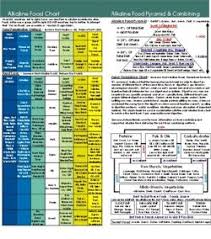 Alkaline Body Balance Informational Guide With Food Chart