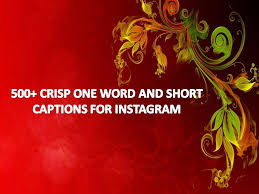 500 Crisp One Word And Short Captions For Instagram