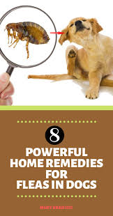Pin On Home Cure