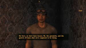 Résultat de recherche d'images pour "fuck ncr sign fallout new vegas"