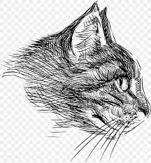 The png image provided by seekpng is high quality and free unlimited download. Cat Drawing Png 3714x4000px Cat Agressive Art Artwork Black And White Download Free