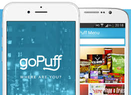 Alcohol Delivery Party Gets More Crowded As Gopuff Brings Gobooze To Seattle Alcohol Party Seattle