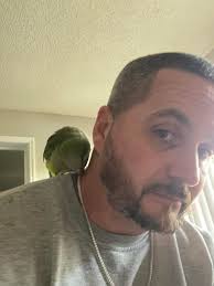 Best Fish at St Alphonsus St Aidan in Wexford Pa