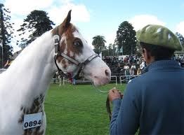 Resultado de imagen de imagenen de expo parado 2017