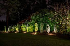 We Lit This Landscape Using Wall Washers They Are Good For Lighting Shrubs And Walls T Outdoor Landscape Lighting Landscape Lighting Landscape Lighting Design