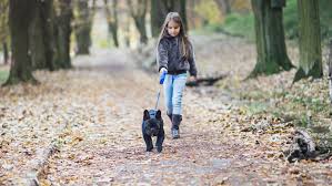 We'll be learning to draw many fun things together. Pets For Kids With Adhd Understood For Learning And Thinking Differences