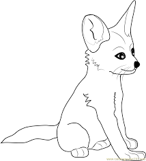 Maybe you would like to learn more about one of these? Fennec Fox Baby Coloring Page For Kids Free Fox Printable Coloring Pages Online For Kids Coloringpages101 Com Coloring Pages For Kids