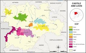 Chuletas cordero lechal igp castilla león. Invitation To Join Worldwinetravel Exploration Of Castilla Y Leon Savor The Harvest