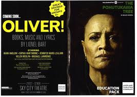 The Light Princess stagebill by Arden Theatre Company