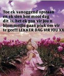 Pin Op Daggies