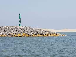 Tijdens enkele bezoeken kuikens geringd, gemeten en gewogen. Marker Wadden Bezoeken In Het Markermeer Eilandhuisjes In Pre Sale