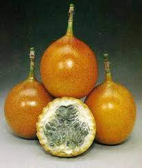 Pin On Sabores Da Madeira
