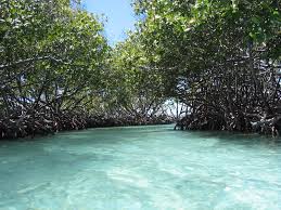 Gilligan's island is a tiny island that is part of the biosphere reserve of guánica. Beaches 4 Casitas