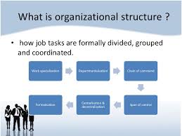 Dominos Pizza Organisational Structure Essay Sample