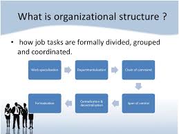 dominos pizza organisational structure essay sample