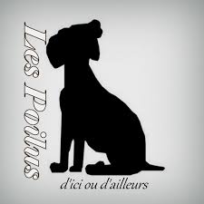 Chansons d'ici et d'ailleurs, d'hier à aujourd'hui. Les Poilus D Ici Et D Ailleurs Posts Facebook