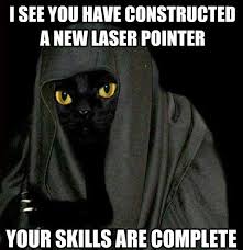 Darth Meow Pic Funny Cats Funny Animal Pictures Funny Animals