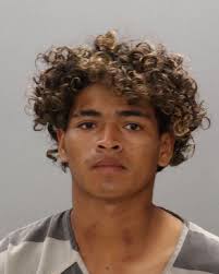 CASTILLO, DENIS C Charges: HOLD FOR IMMIGRATION INTERFERENCE WITH EMERGENCY  CALLS SOLICITATION OF A MINOR