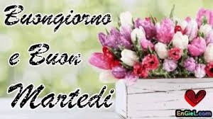 Https Encrypted Tbn0 Gstatic Com Images Q Tbn And9gctvyqffm0irmj7s8oj6w Ltw9d9oahzgxwxjq Usqp Cau