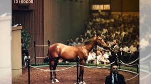 самый большой конь в мире занесенный в книгу гиннеса 20 Loshadinyh Rekordov Ginnesa