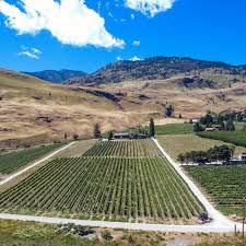 We did not find results for: Osoyoos And Oliver Wineries Destination Osoyoos