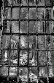 Fractured View Of Gladesville Asylum Gladesville Mental Hospital Was A Psychiatric Hospital Established Abandoned Places Abandoned Asylums Abandoned Hospital