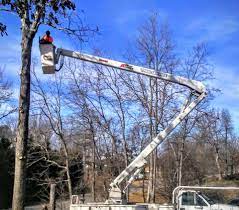 Crossville is a city in and the county seat of cumberland county, tennessee, united states. 1st Choice Tree Service Home Facebook