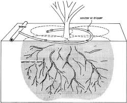 Use this form to calculate the water application rate of drip irrigation lines (tape. Drip Irrigation System Vikaspedia
