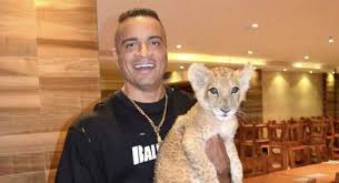 The rumble in the jungle kabza de small. Eq21c4eoxvzhcm