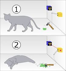 Dunyayi Algilama Bicimimizi Gosteren Schrodinger In Kedisi Nin Anlasilir Ve Sade Bir Aciklamasi Eksi Seyler