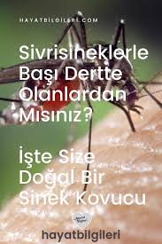 Sivrisineklerle Basi Dertte Olanlardan Misiniz Iste Size Dogal Bir Sinek Kovucu 2020 Dogal Dogal Saglik Dogal Receteler