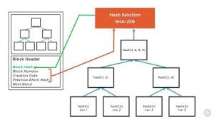 February 06, 2021, 10:05:03 pm. 5 Free Courses To Learn Blockchain Programming In 2019 Hacker Noon
