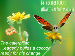 The Caterpillar Haiku Beautiful Butterflies Butterfly Quotes Beautiful Butterfly Pictures