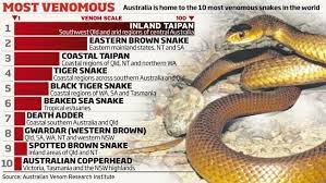 Venomous Snake Infographic Snake Inland Taipan Australia