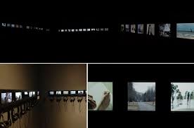 Bildergebnis für Bosmat Alon