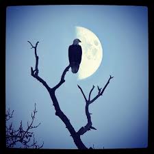 Bringing Up The Moon Www Blytheayne Com Moon Poetry Pinterestpoet Beautiful Moon Beautiful Nature Art
