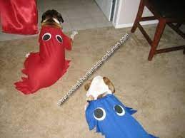 Pin On Pet Halloween Costumes
