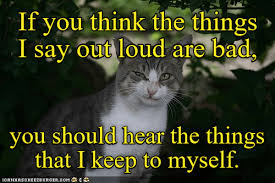 Check spelling or type a new query. If You Can T Say Something Nice Lolcats Lol Cat Memes Funny Cats Funny Cat Pictures With Words On Them Funny Pictures Lol Cat Memes Lol Cats