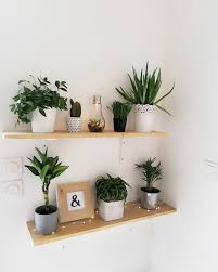 So, si vous voulez enregistrer this new. Mur Vegetal Et Etagere Palette Deco Murale Salon Parement Mural Decoration Etageres