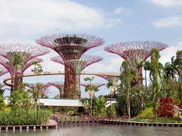 We did not find results for: Gardens By The Bay Tickets Prices Light Show Timings Flower Dome