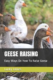We did not find results for: Geese Raising Easy Ways On How To Raise Geese James Lucky 9781973216810 Amazon Com Books